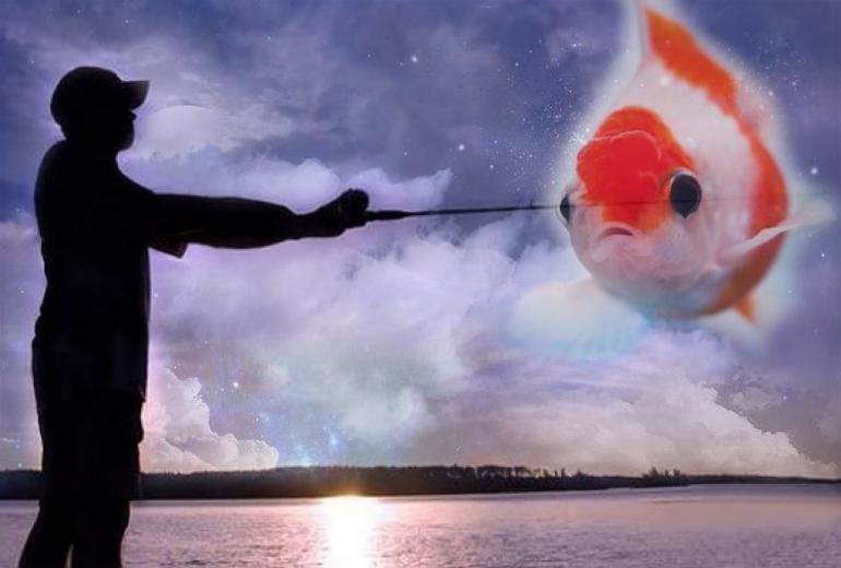 К чему снится рыба в воде сонник