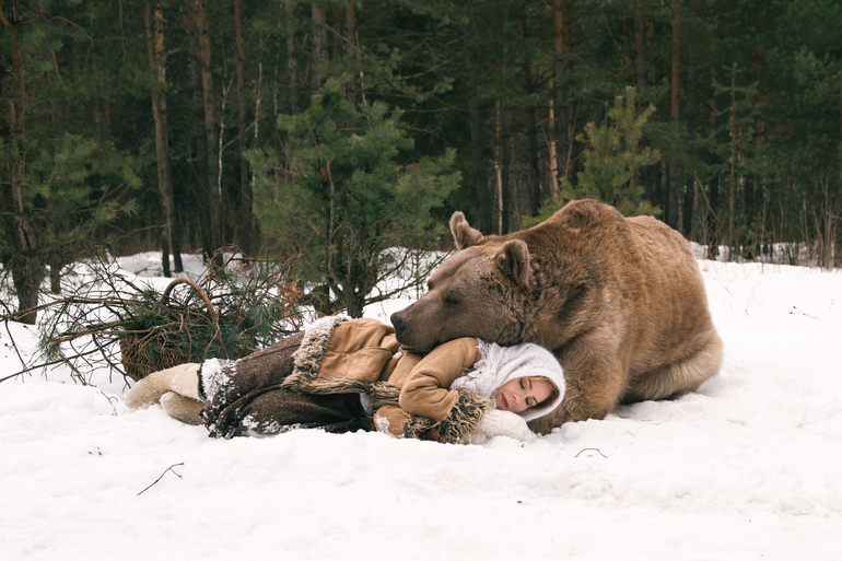 Толкование снов о медведе