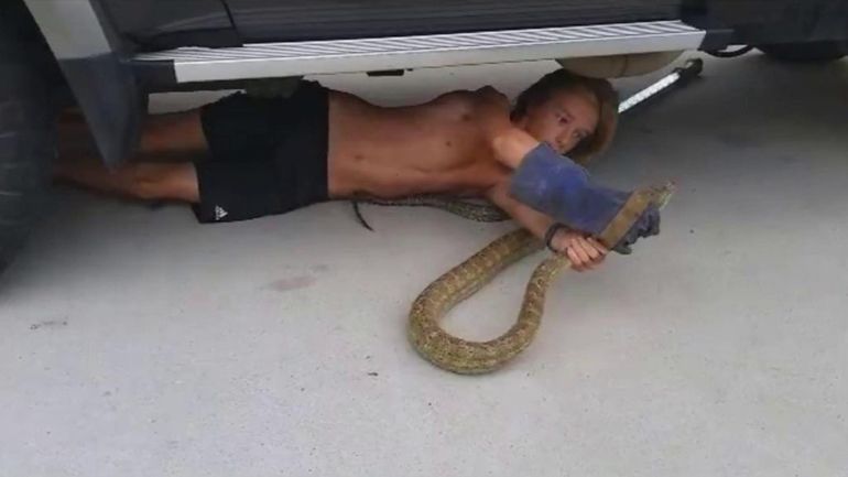 Убить нападающую змею