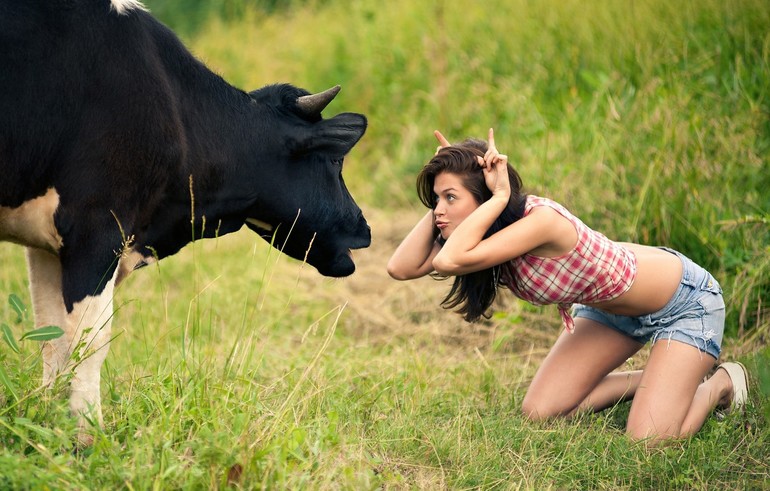 Сонник девушка с коровами