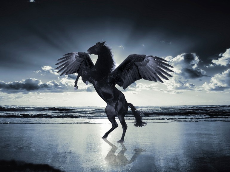 Сказочная черная лошадь с крыльями 