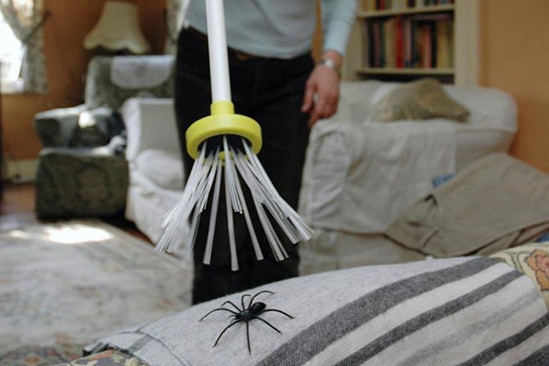 Сонник убить паука большого