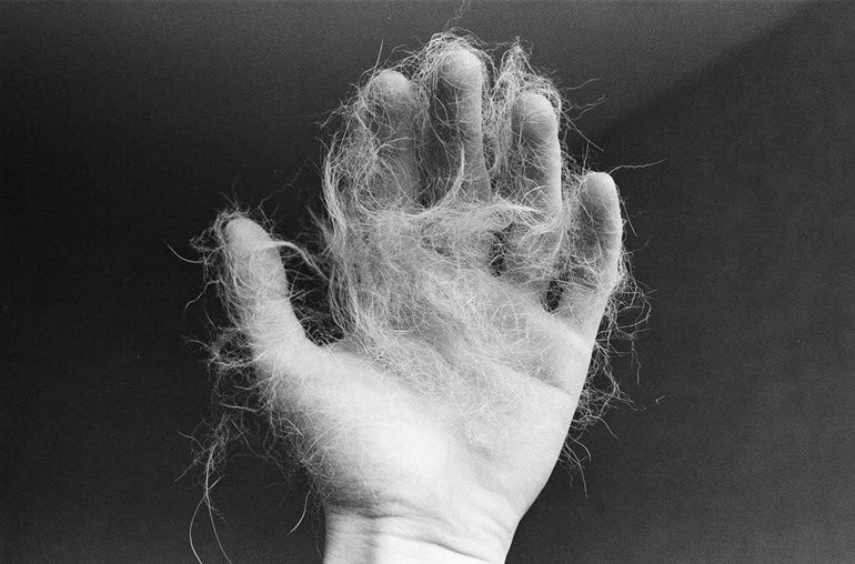 Сонник волосатые руки 