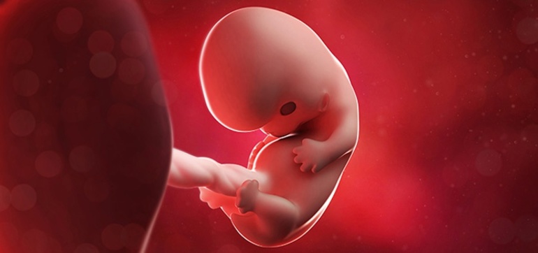 К чему снится мертвый эмбрион ребенка thumbnail