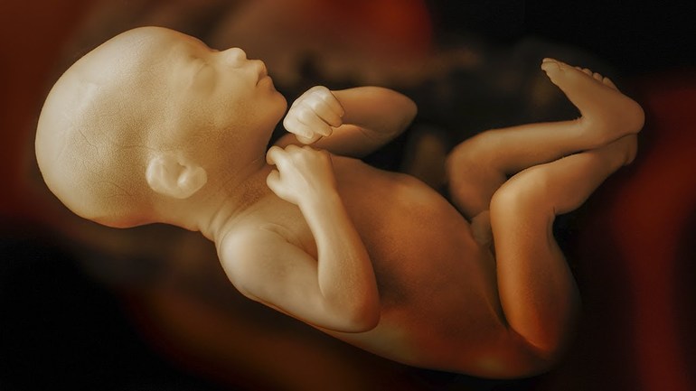 К чему снится зародыш ребенка в плаценте thumbnail