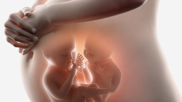 Видеть во сне беременность двойней