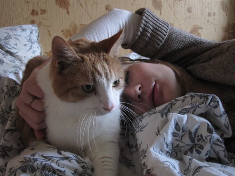 Значение котят во сне