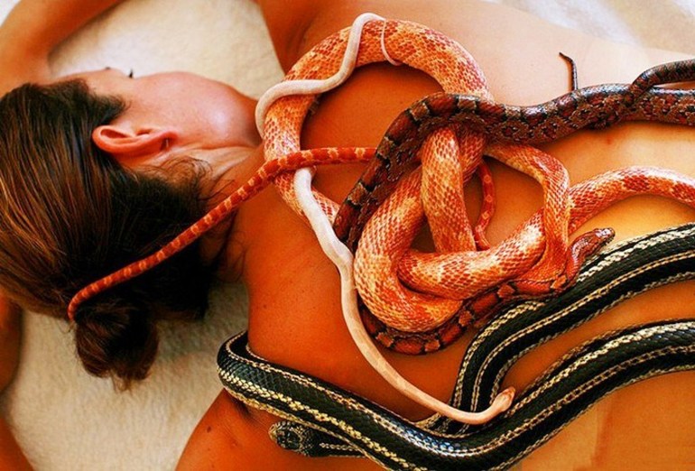  к чему снятся змеи женщине 
