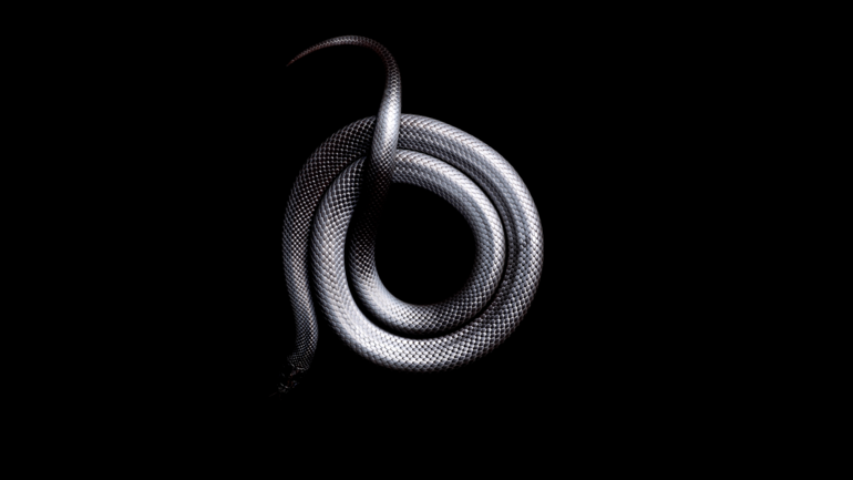 Змея свернувшаяся в кольцо