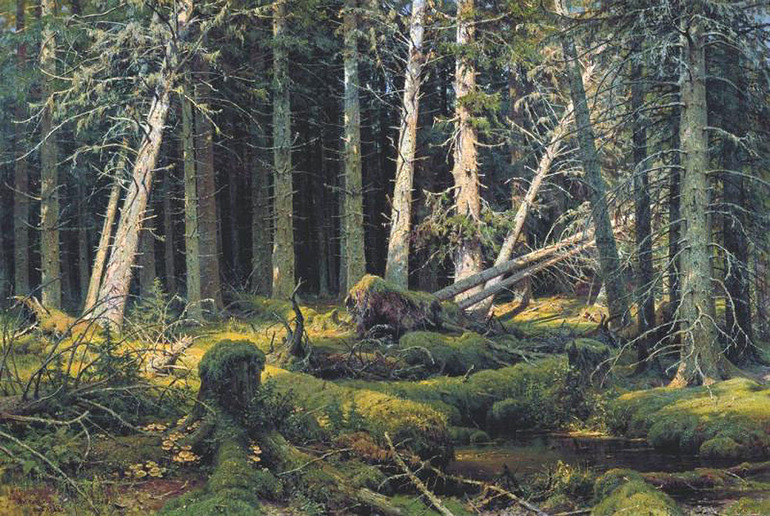 Трухлявый лес