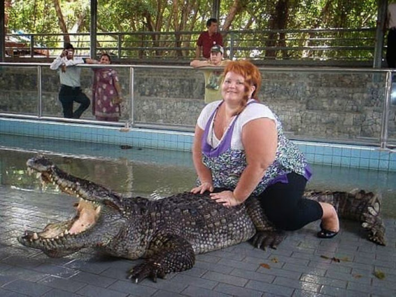 Сонник сидеть на крокодиле