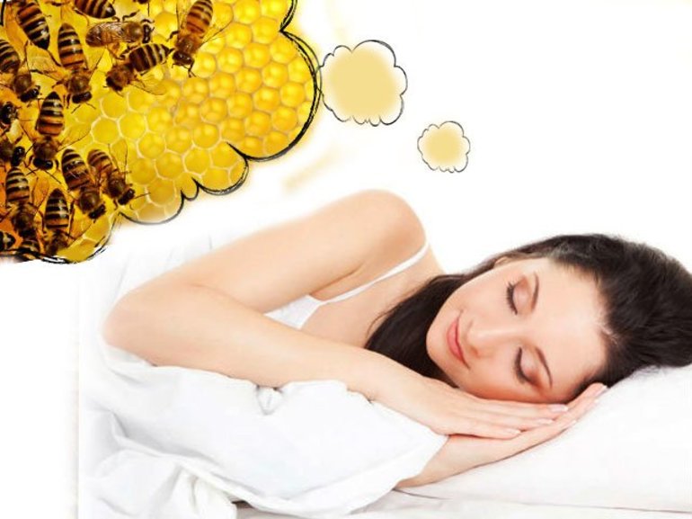 Пчелы во сне к чему снится 