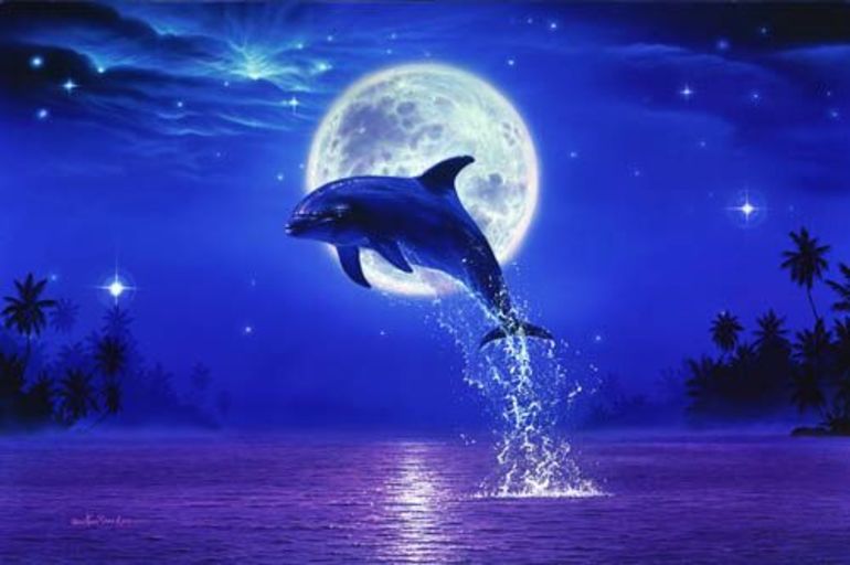 К чему снятся дельфины ночью