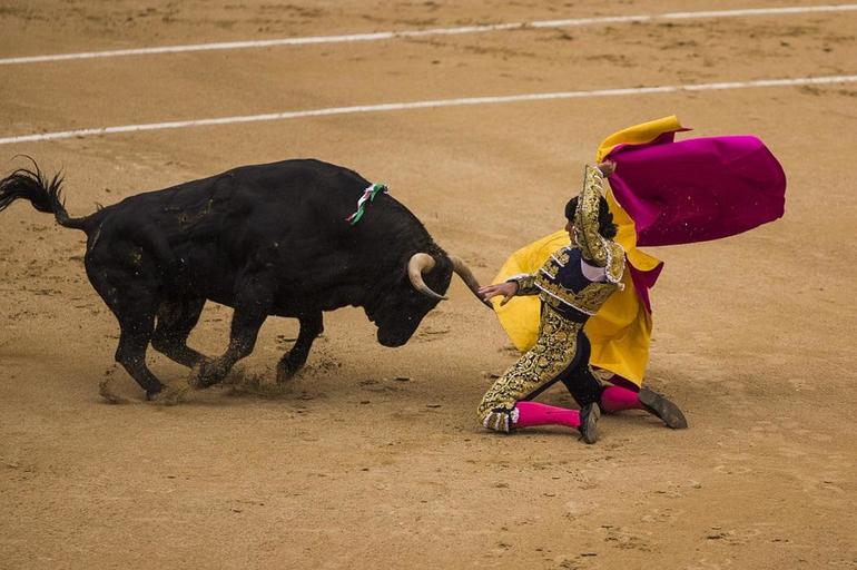 Сонник драться с быком