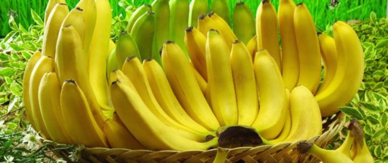 Видеть во сне бананы