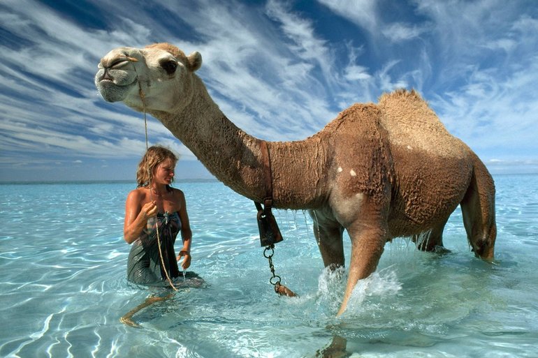 Женщина путешествующая на верблюде