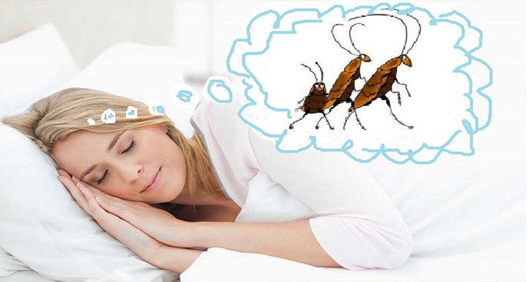 Видеть во сне тараканов