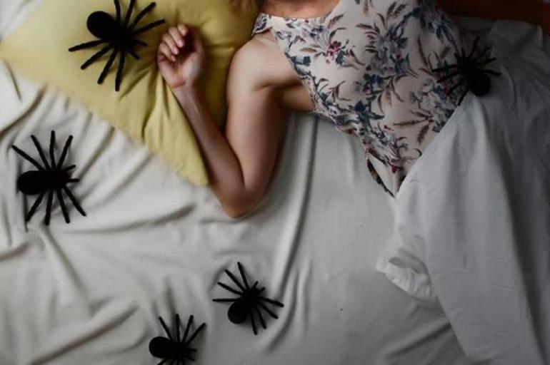 Страшно много пауков во сне