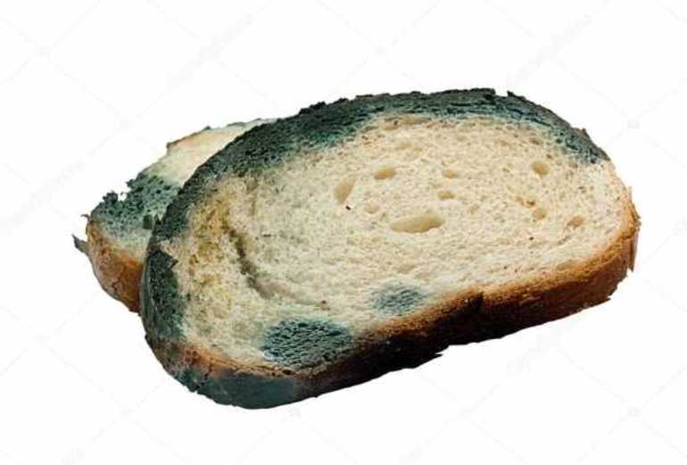 Хлеб с плесенью