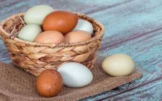 Толкование по различным сонникам к чему снятся куриные яйца