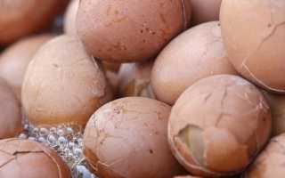 Толкования к чему снятся тухлые куриные яйца по различным сонникам