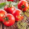 К чему снятся красные помидоры по разным сонникам