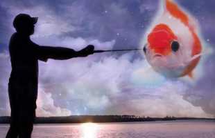 Толкования сонников: к чему снится живая рыба