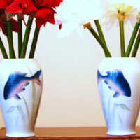 Значение сновидения про вазу по различным сонникам