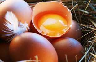 Значения по сонникам, к чему снятся разбитые куриные яйца