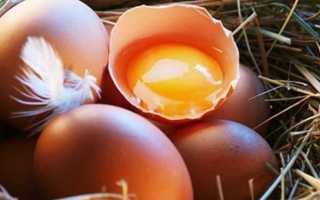 Значения по сонникам, к чему снятся разбитые куриные яйца