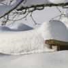 К чему снится много снега: толкование популярных сонников