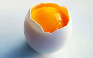 Сонник снятся сырые яйца: к чему приснилось такое