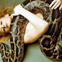К чему снится змея беременной женщине согласно толкованиям