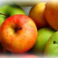 К чему могут сниться яблоки: толкование по сонникам