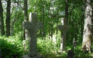 Толкование к чему снится кладбище по известным сонникам