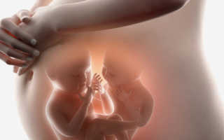 К чему снится сон о своей или чужой беременности двойней