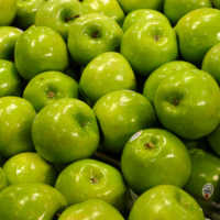 К чему снятся деревья с плодами или зеленые яблоки по сонникам