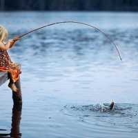 К чему снится ловить рыбу мужчине и женщине: толкования сна