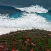 К чему снится цунами: значение по сонникам